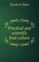 Practical and scientific fruit culture