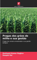 Pragas dos grãos de milho e sua gestão
