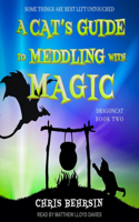 Cat's Guide to Meddling with Magic