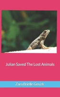 Julian Saved The Lost Animals