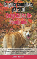 La Guía Completa Para Tu Corgi Galés De Pembroke