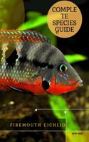 Firemouth Cichlid