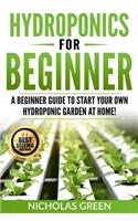 Hydroponics For Beginners