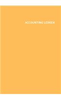 Accounting Ledger Book