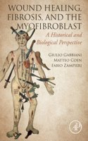 Wound Healing, Fibrosis, and the Myofibroblast