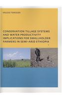 Conservation Tillage Systems and Water Productivity - Implications for Smallholder Farmers in Semi-Arid Ethiopia
