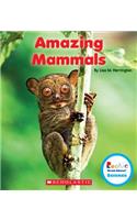 Amazing Mammals