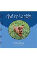 Meet Mr. Wrinkles