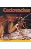 Cockroaches