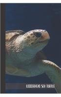 Loggerhead Sea Turtle