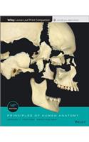 Principles of Human Anatomy