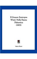 Il Genere Systropus Wied. Nella Fauna Paleartica (1905)