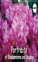 Portraits of Rhododendrons and Azaleas 2018