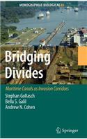 Bridging Divides