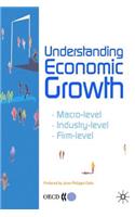 Understanding Economic Growth