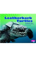 Leatherback Turtles