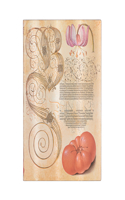 Paperblanks Lily & Tomato Mira Botanica Softcover Flexi Ultra Lined 176 Pg 100 GSM