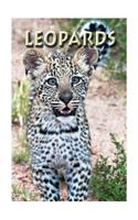 Leopards