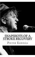 SnapShots of a Stroke Recovery