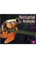 Nocturnal Animals