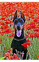 Doberman Pinscher