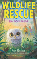 How to Save an Owl: (Wildlife Rescue)