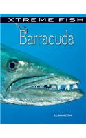 Barracuda