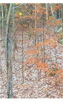 2020 Weekly Planner Late Fall Woods Bare Tree Branches 134 Pages: 2020 Planners Calendars Organizers Datebooks Appointment Books Agendas
