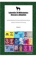 Labrottie 20 Milestones: Rescue & Adoption: Labrottie Milestones for Memorable Moments, Rescue, Adoption, Socialization & Training Volume 1