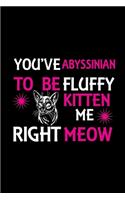 You've Abyssinian to be fluffy kitten me right meow