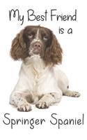 My best Friend is a Springer Spaniel