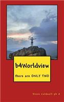 b4Worldview