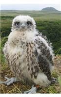 Gyrfalcon Nestling in Alaska Journal: Take Notes, Write Down Memories in this 150 Page Lined Journal