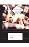 Chihuahua No Homework Composition Book Wide Ruled: Notebook 200 pages, 100 sheets
