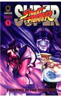 Super Street Fighter Omnibus