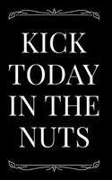 Kick Today in the Nuts: 110-Page Blank Lined Journal Gag Gift Idea