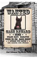 Giant Schnauzer Dog Wanted Poster