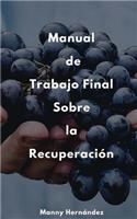 Manual de Trabajo Final