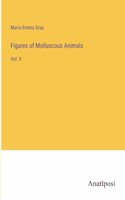 Figures of Molluscous Animals