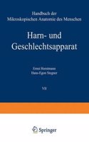 Harn- und Geschlechtsapparat