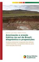 Arenização e erosão hídrica no sul do Brasil: diagnóstico e proposições