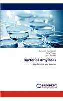 Bacterial Amylases