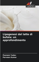 Lipogenesi del latte di bufala