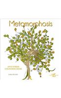 Metamorphosis: Anti-Stress Colouring Book