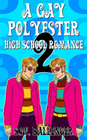 Gay Polyester High School Romance 2