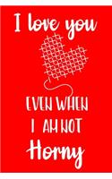 I Love You Even When I Am Not Horny