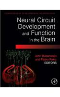 Neural Circuit Development and Function in the Brain