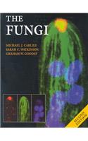 The Fungi