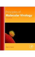 Principles of Molecular Virology