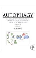 Autophagy: Cancer, Other Pathologies, Inflammation, Immunity, Infection, and Aging